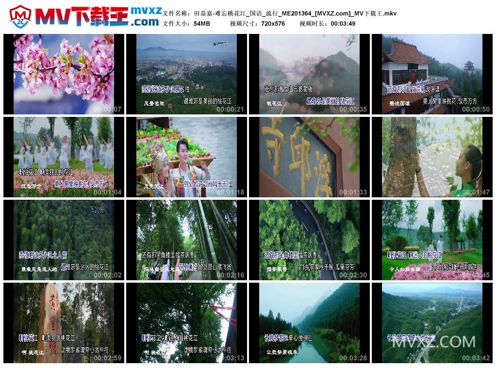 田益嘉-难忘桃花江_国语_流行_ME201364
